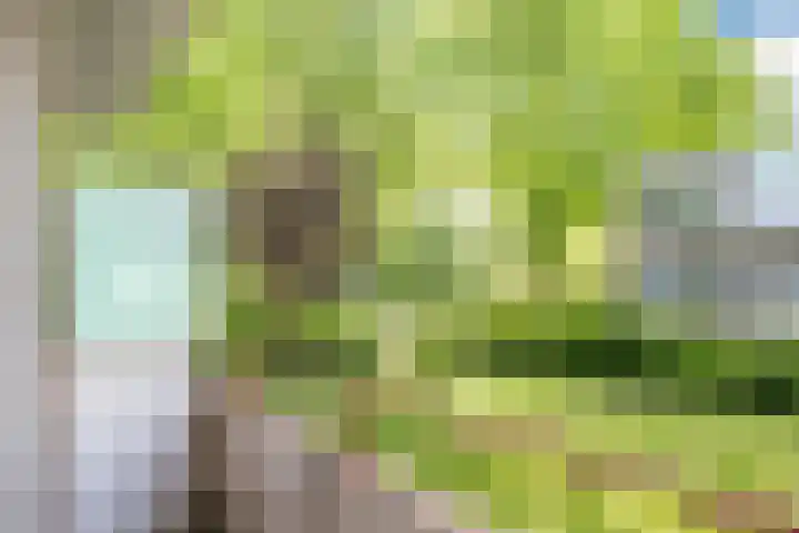 Händellaan 25 Groningen thumbnail 22