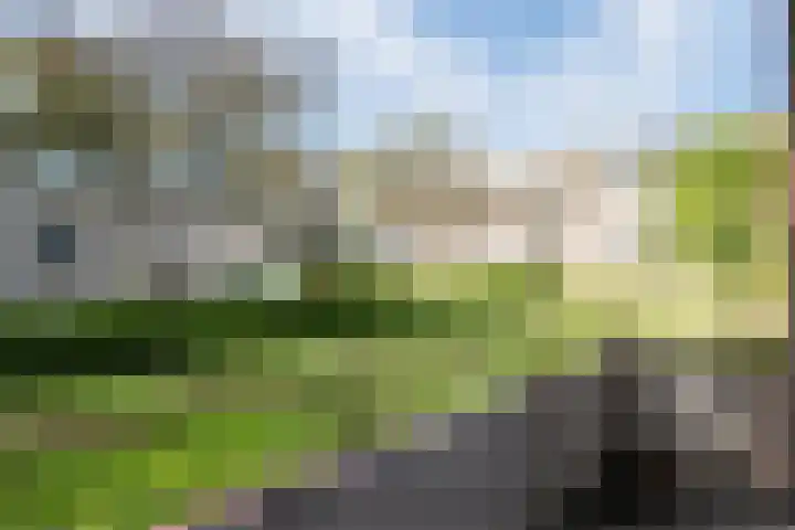 Händellaan 25 Groningen thumbnail 23