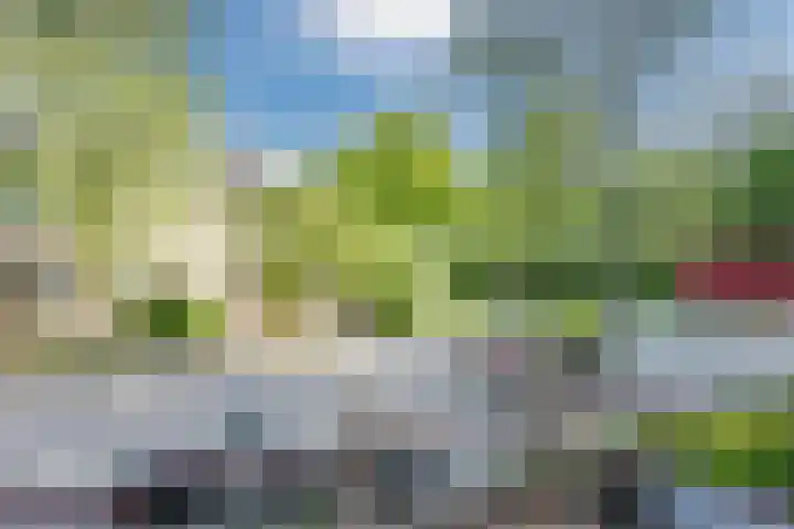 Händellaan 25 Groningen thumbnail 24