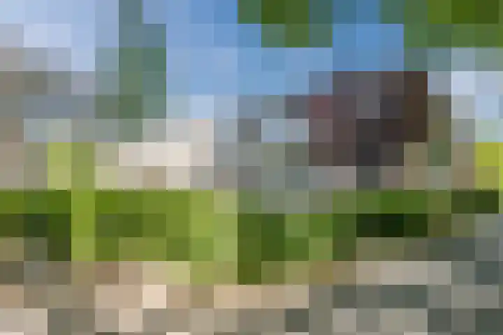 Händellaan 25 Groningen thumbnail 26