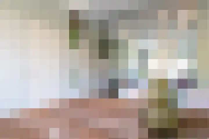 Händellaan 25 Groningen thumbnail 8