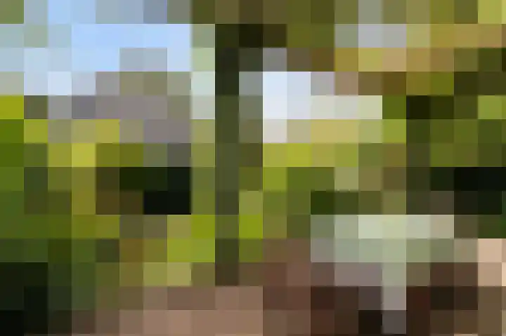 Händellaan 27 Naarden thumbnail 31