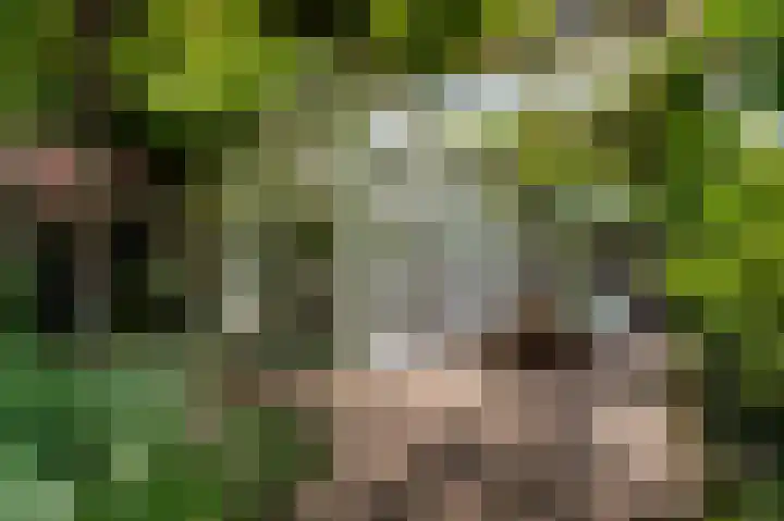 Händellaan 27 Naarden thumbnail 32