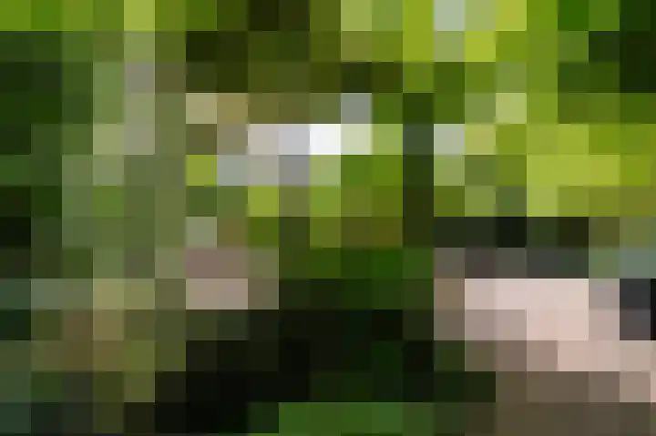 Händellaan 27 Naarden thumbnail 33
