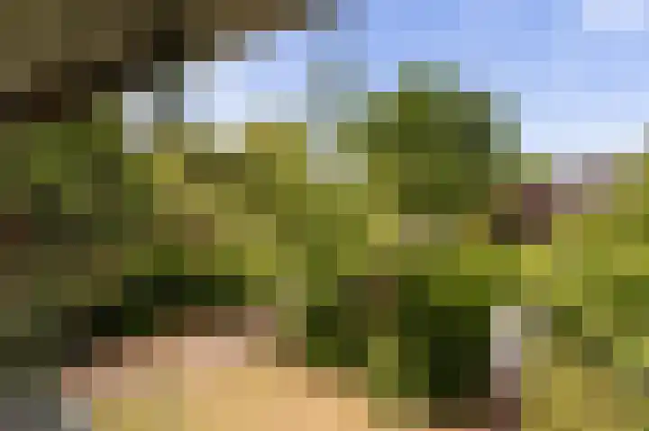 Händellaan 27 Naarden thumbnail 34