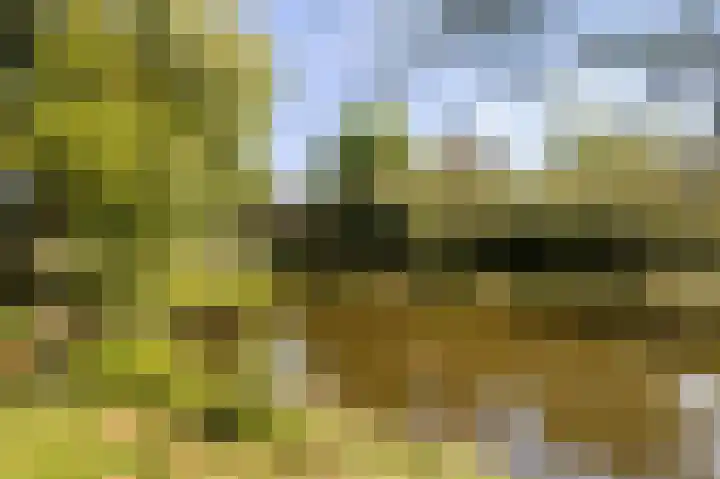 Händellaan 27 Naarden thumbnail 37