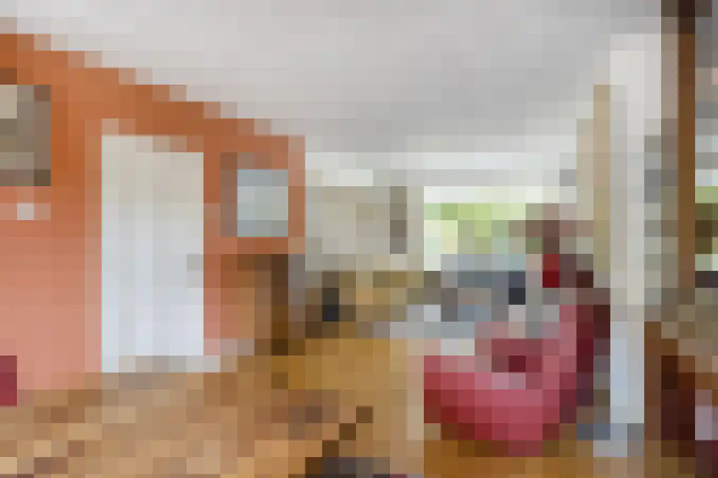 Händellaan 3 Voorschoten thumbnail 16