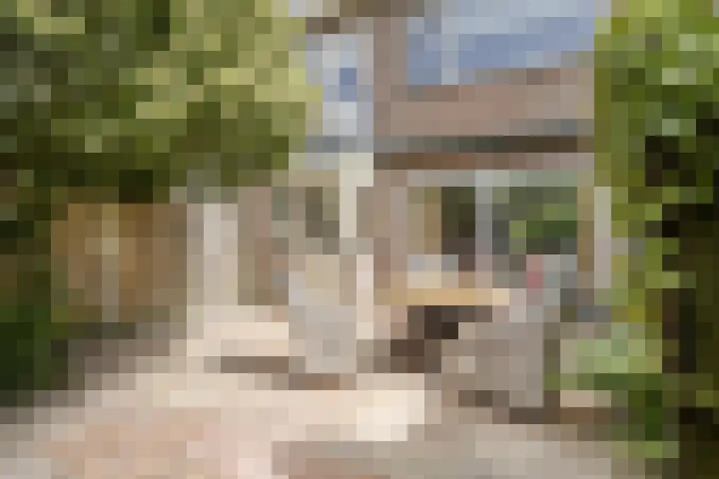Händellaan 3 Voorschoten thumbnail 26
