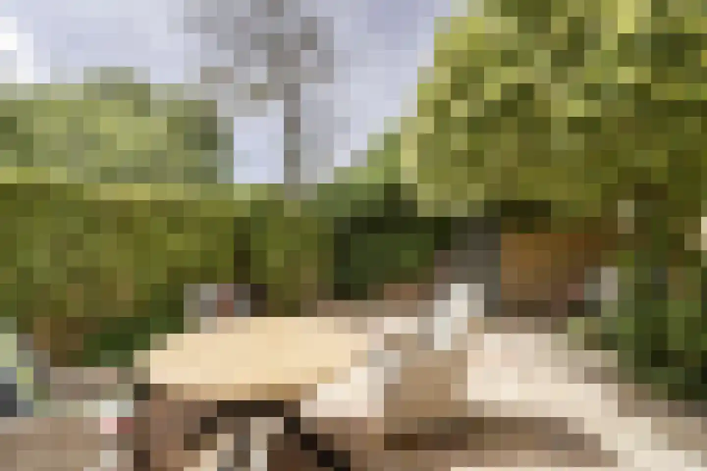 Händellaan 3 Voorschoten thumbnail 28