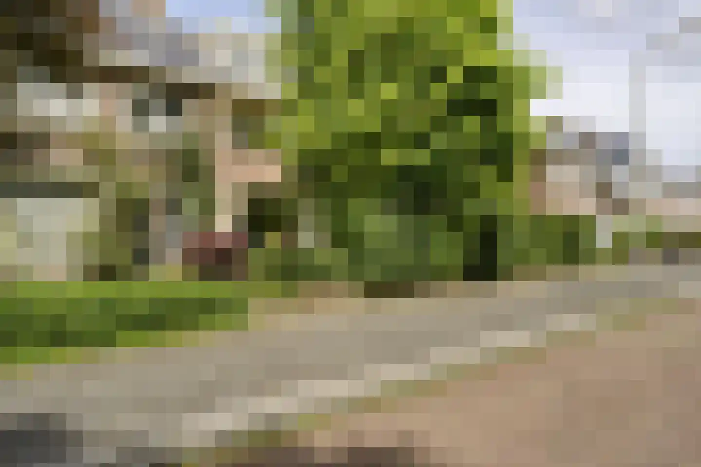 Händellaan 3 Voorschoten foto 3