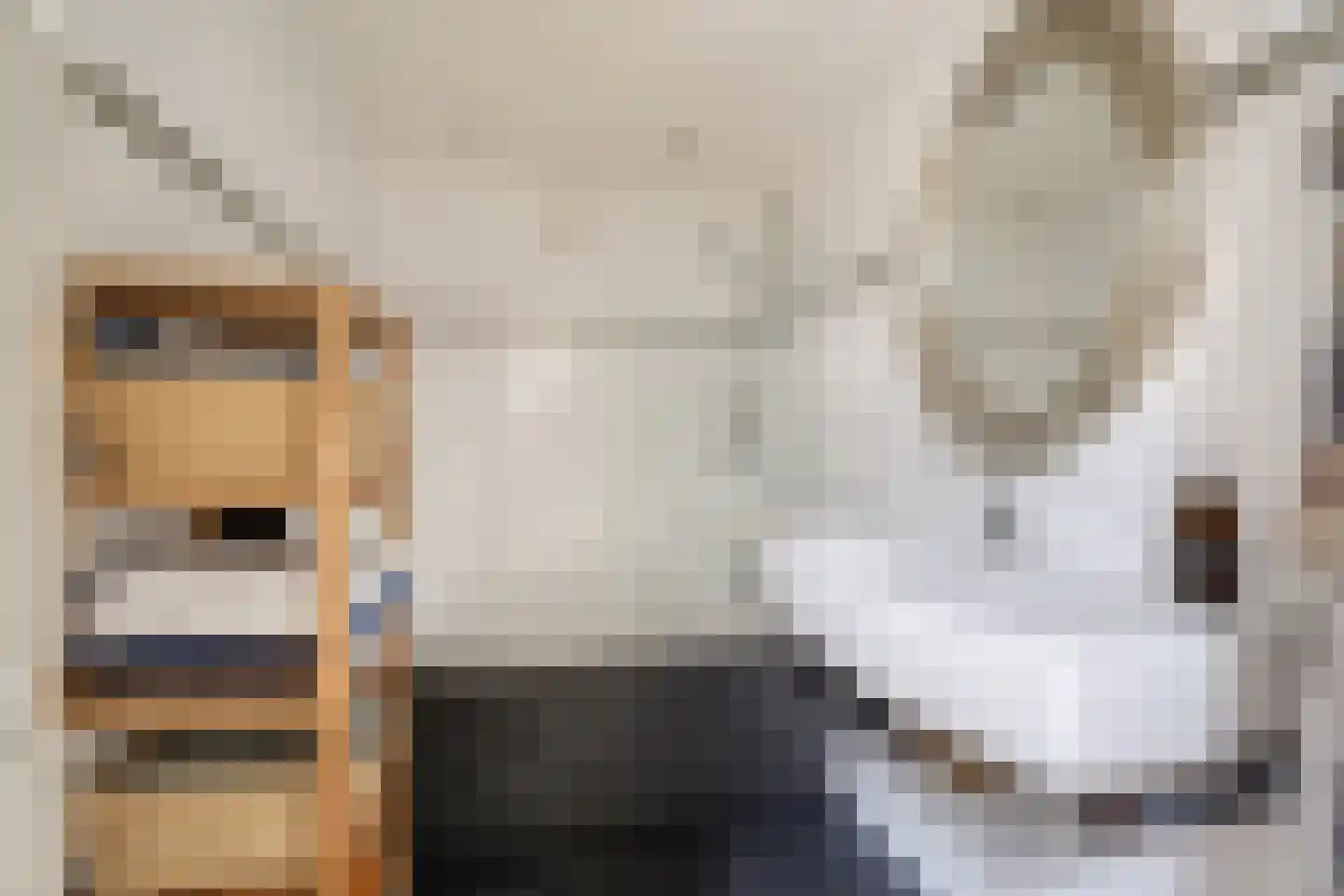 Händellaan 3 Voorschoten thumbnail 35