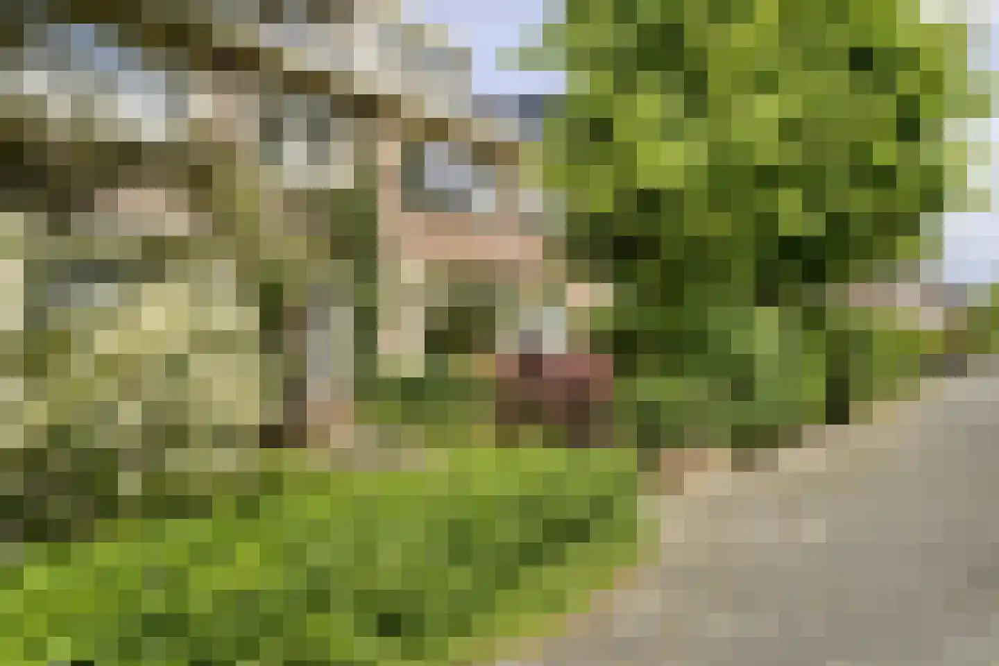 Händellaan 3 Voorschoten thumbnail 7