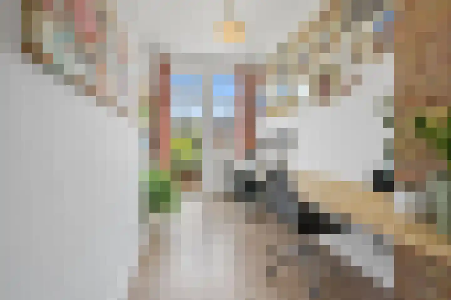 Händellaan 30 Den Haag thumbnail 37