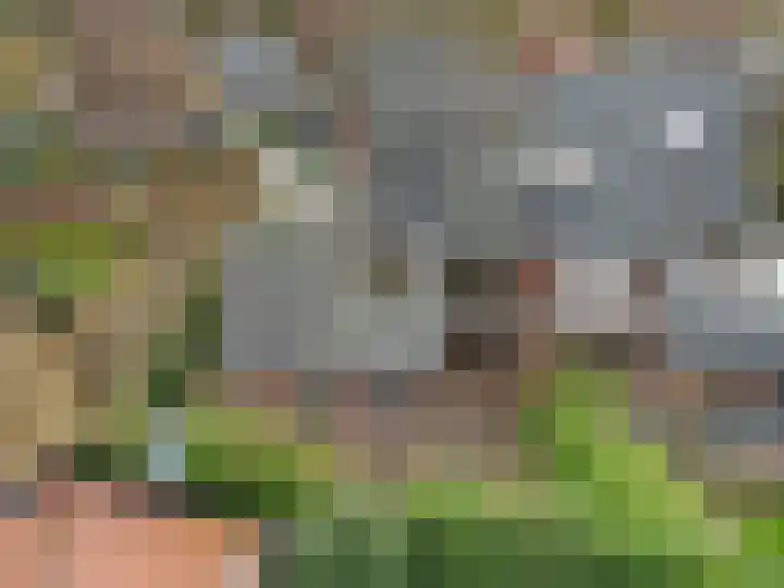 Händellaan 32 Naarden thumbnail 32