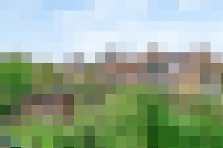 Händellaan 32 Naarden thumbnail 37