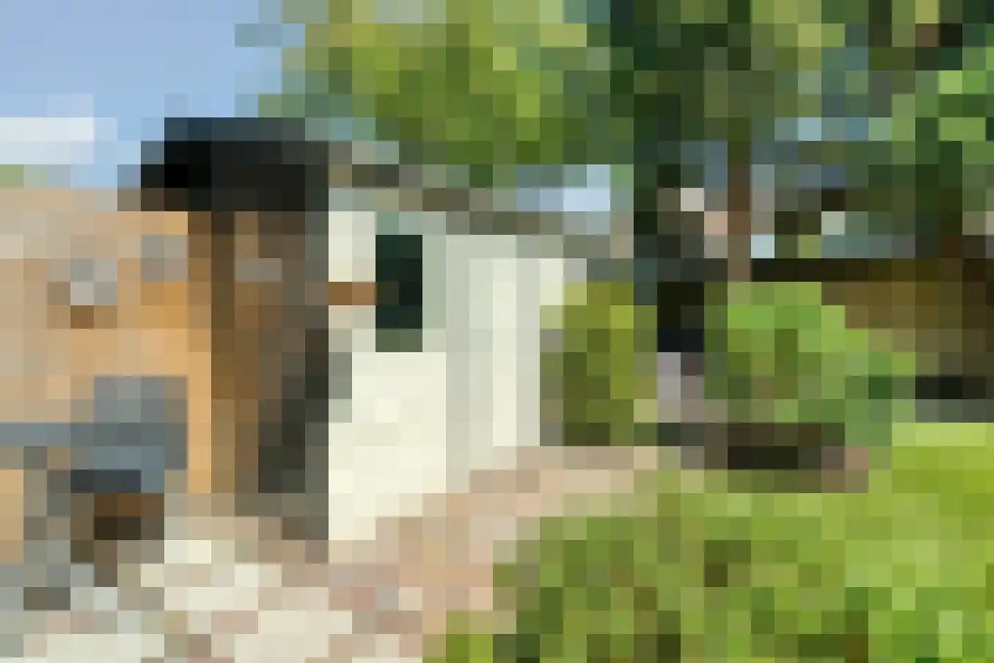 Händellaan 36 Den Haag thumbnail 37