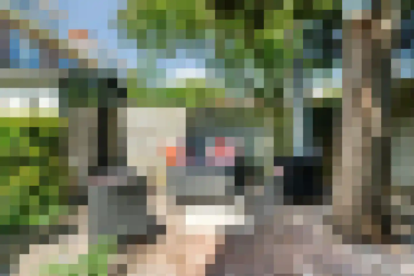 Händellaan 36 Den Haag thumbnail 40