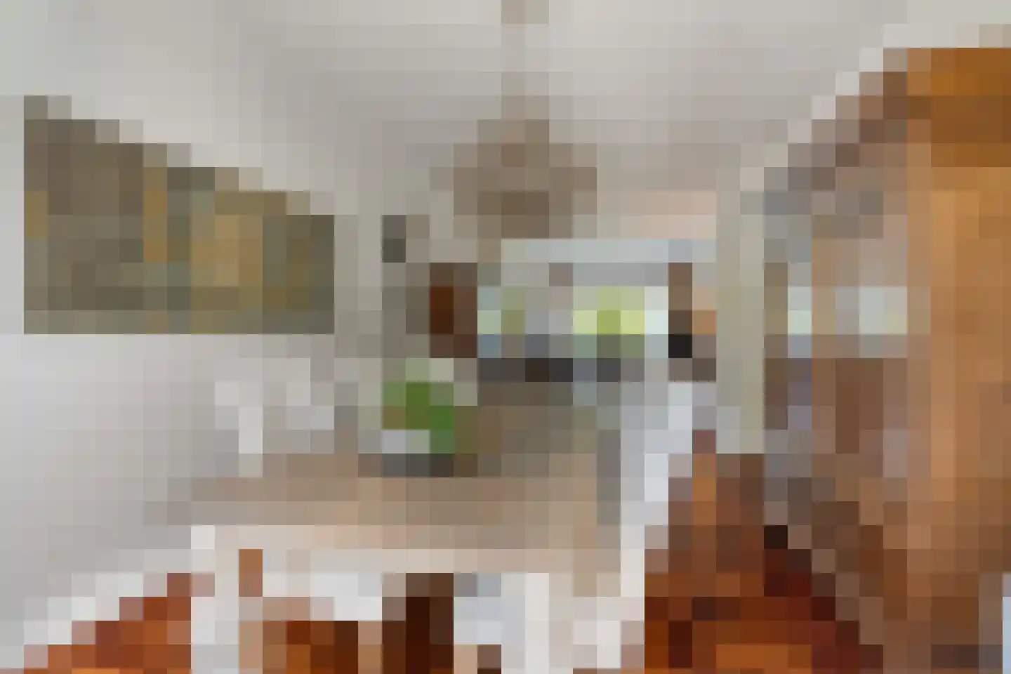 Händellaan 36 Den Haag thumbnail 43