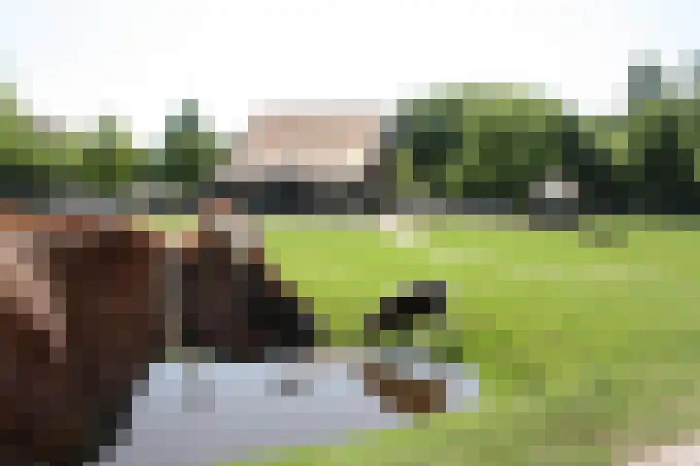 Händellaan 36 Den Haag thumbnail 63