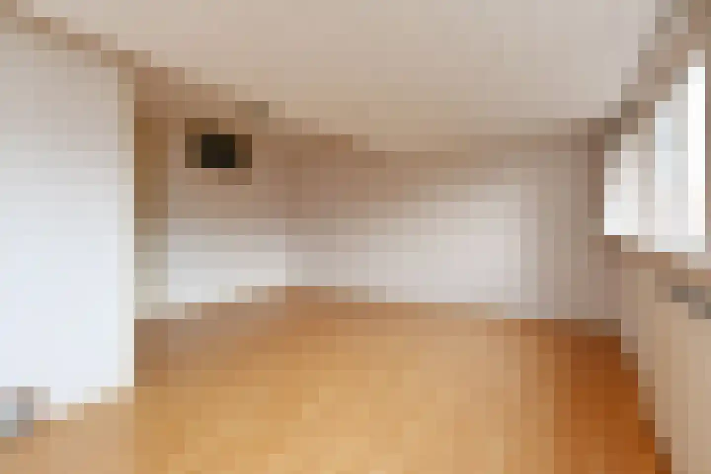 Händellaan 48 Den Haag thumbnail 42