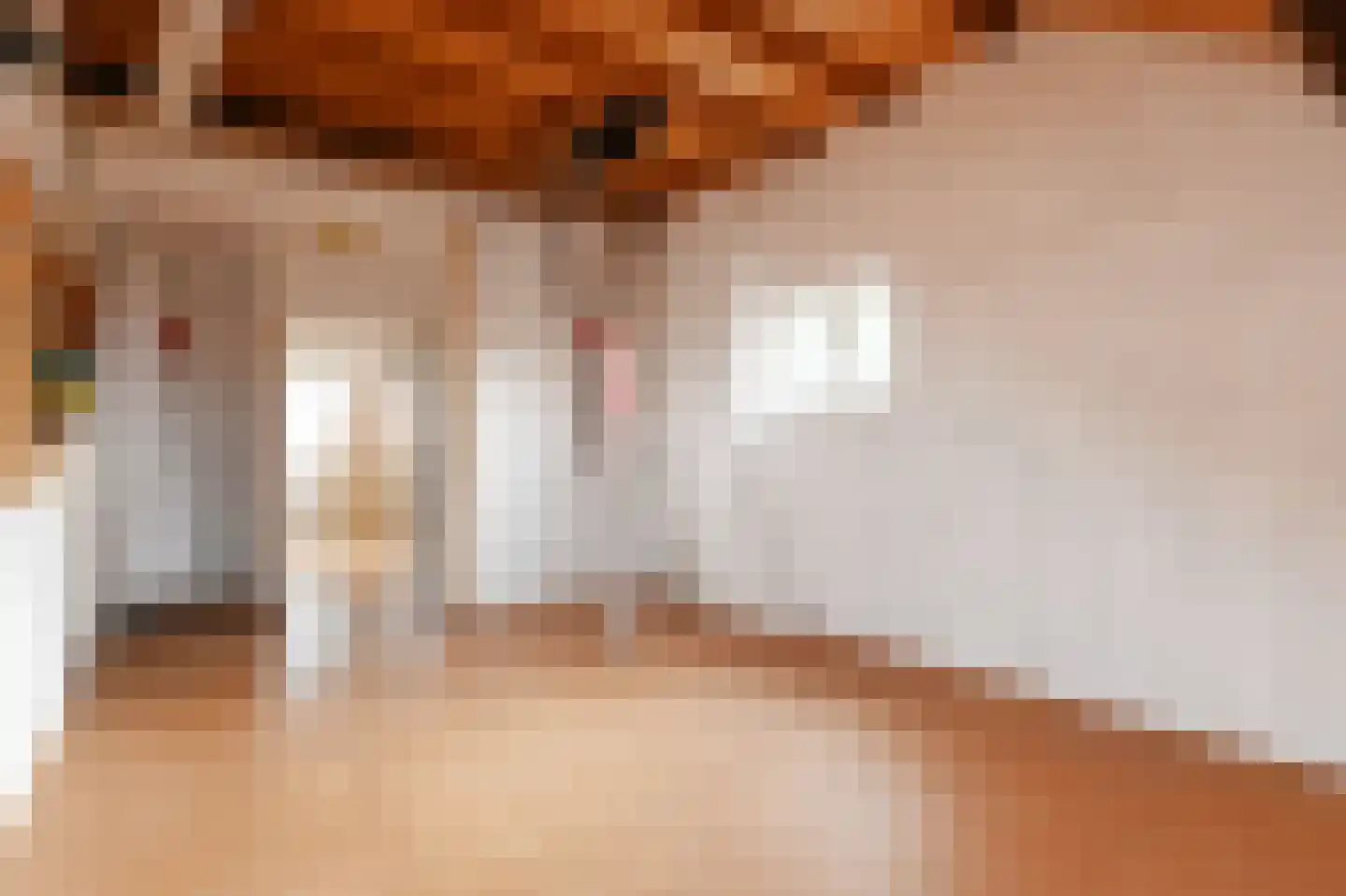 Händellaan 48 Den Haag thumbnail 47