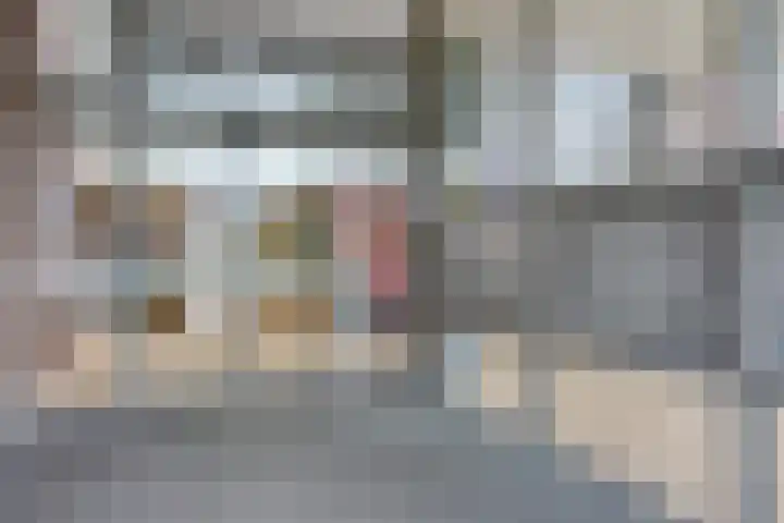 Händellaan 497 Zwolle thumbnail 31