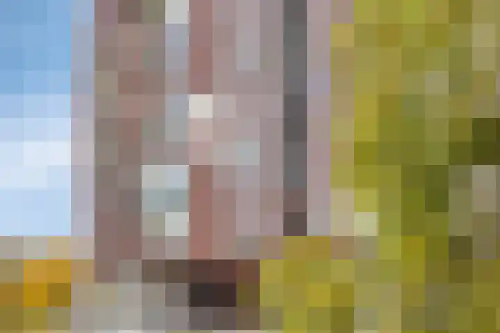 Händellaan 497 Zwolle thumbnail 37