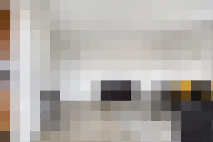 Händellaan 497 Zwolle thumbnail 4