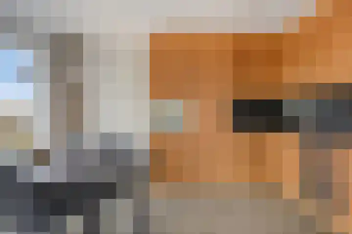 Händellaan 497 Zwolle thumbnail 6