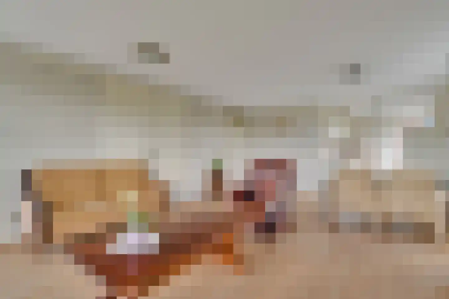 Händellaan 499 Zwolle thumbnail 10