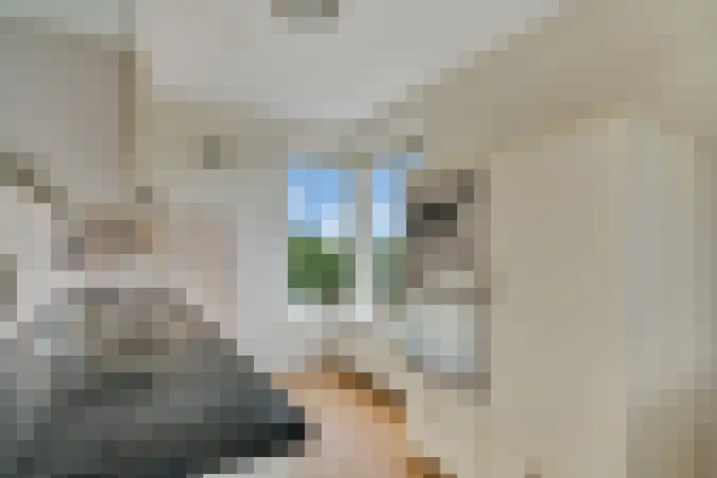 Händellaan 499 Zwolle thumbnail 12