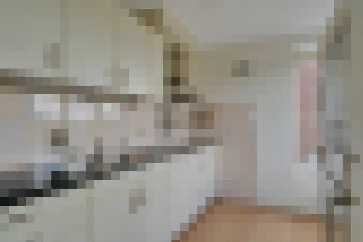 Händellaan 499 Zwolle thumbnail 14