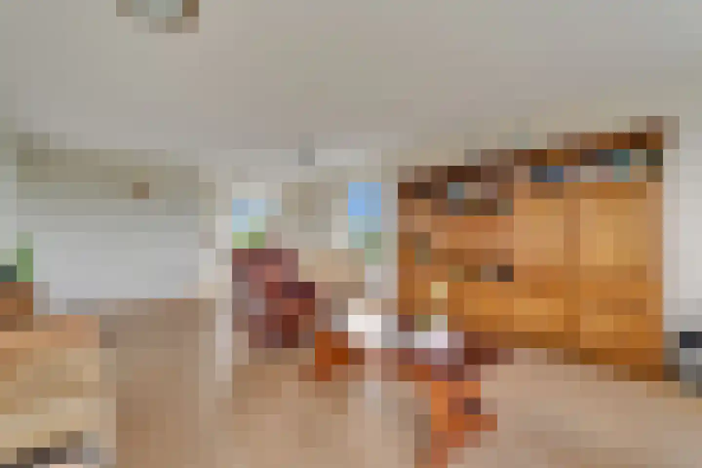 Händellaan 499 Zwolle thumbnail 9