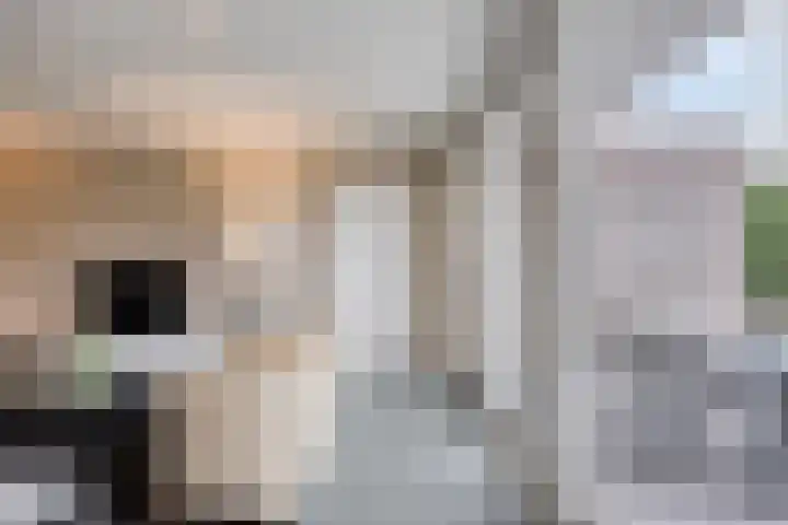 Händellaan 5 Waalre thumbnail 11