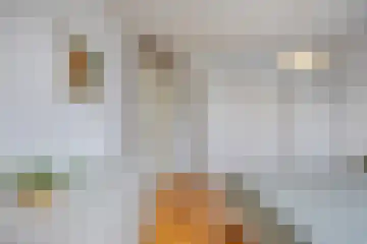 Händellaan 5 Waalre thumbnail 24