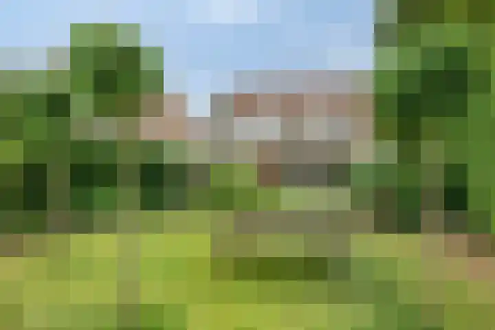 Händellaan 5 Waalre foto 3