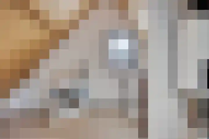 Händellaan 5 Waalre thumbnail 31