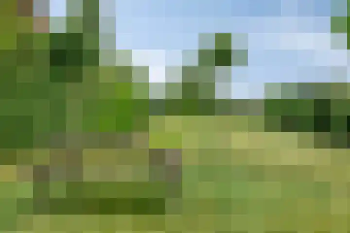 Händellaan 5 Waalre thumbnail 40
