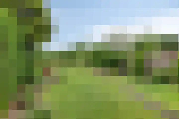 Händellaan 5 Waalre thumbnail 41