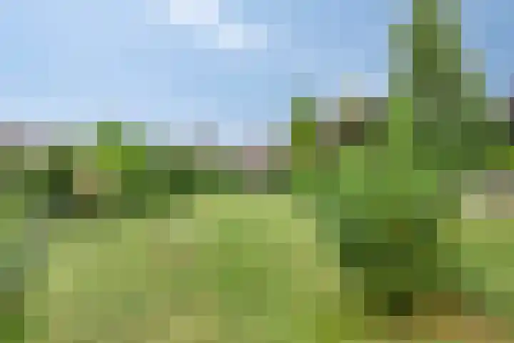 Händellaan 5 Waalre thumbnail 42
