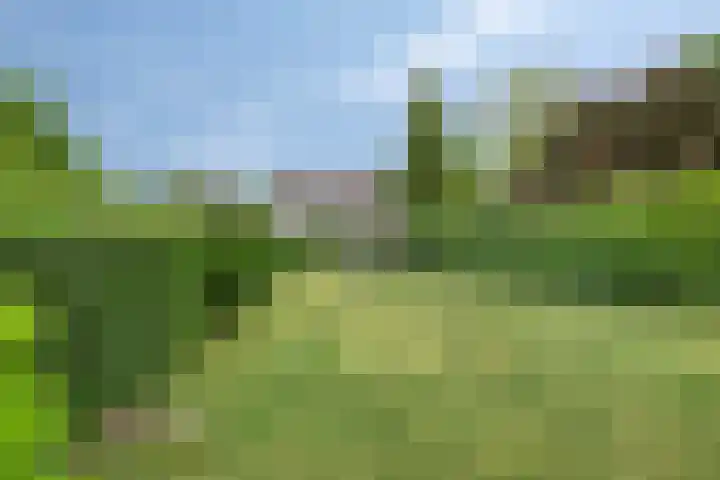 Händellaan 5 Waalre thumbnail 43
