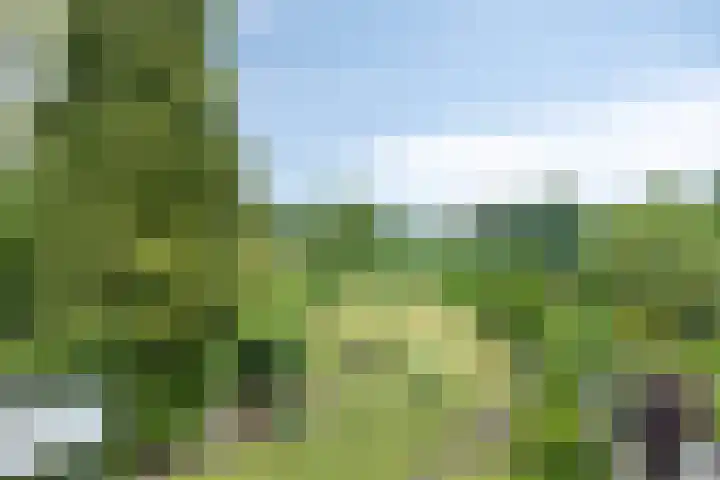 Händellaan 5 Waalre thumbnail 44