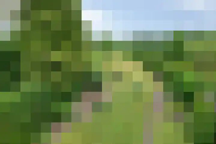 Händellaan 5 Waalre thumbnail 45