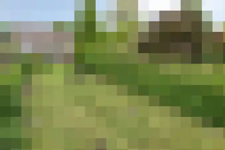 Händellaan 5 Waalre thumbnail 46