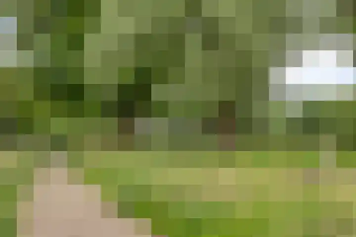 Händellaan 5 Waalre thumbnail 47