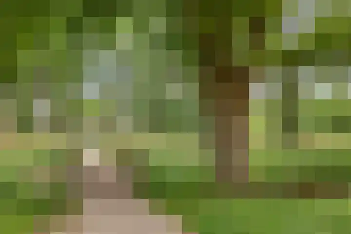 Händellaan 5 Waalre thumbnail 48