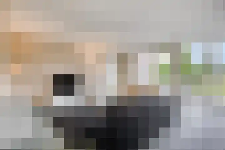 Händellaan 5 Waalre thumbnail 7