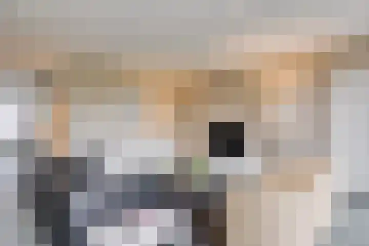 Händellaan 5 Waalre thumbnail 8