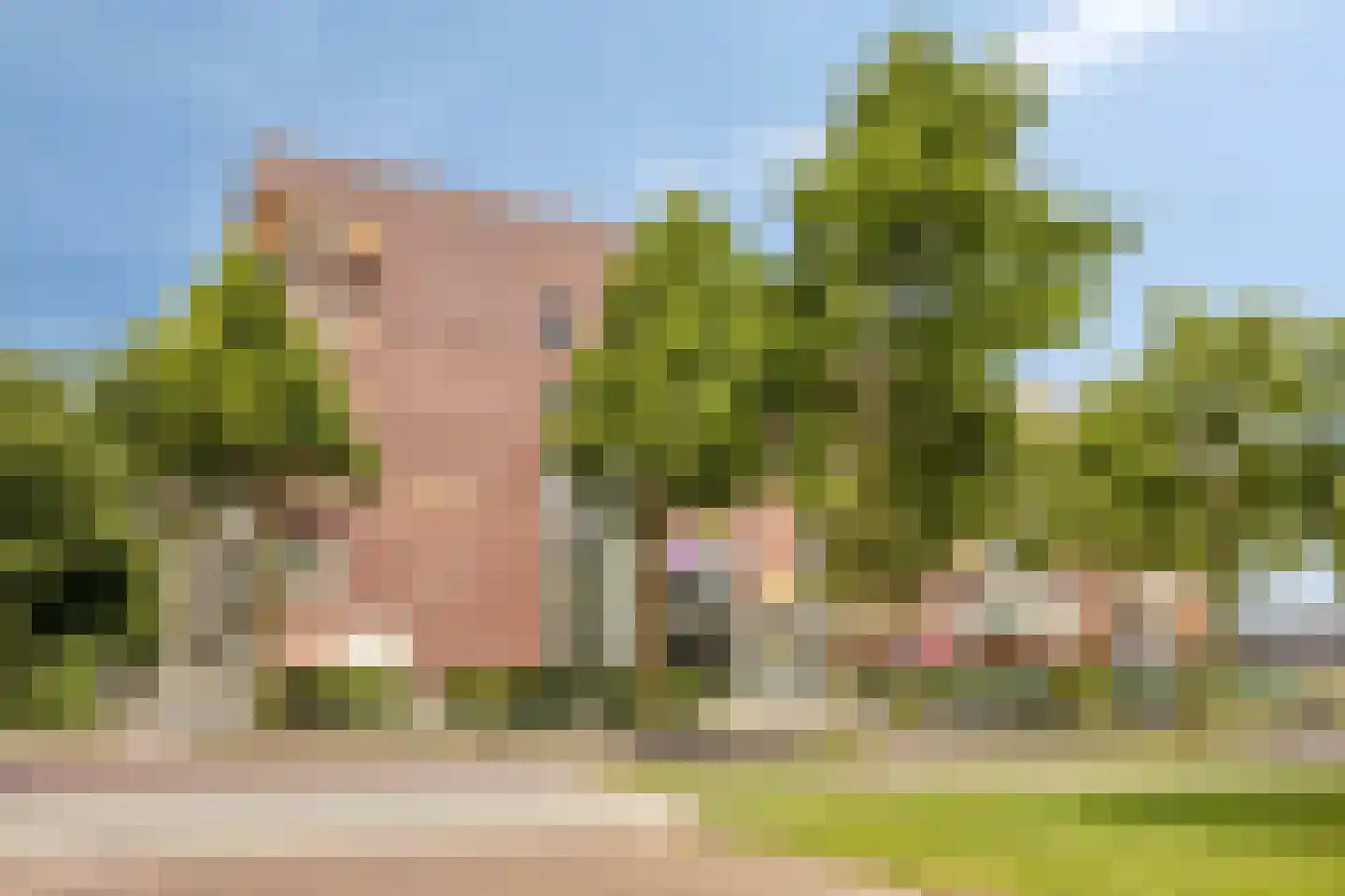 Händellaan 599 Zwolle thumbnail 44