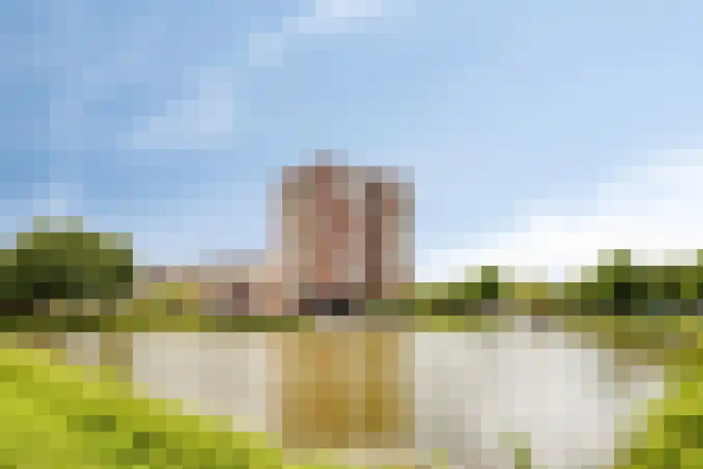 Händellaan 599 Zwolle thumbnail 50